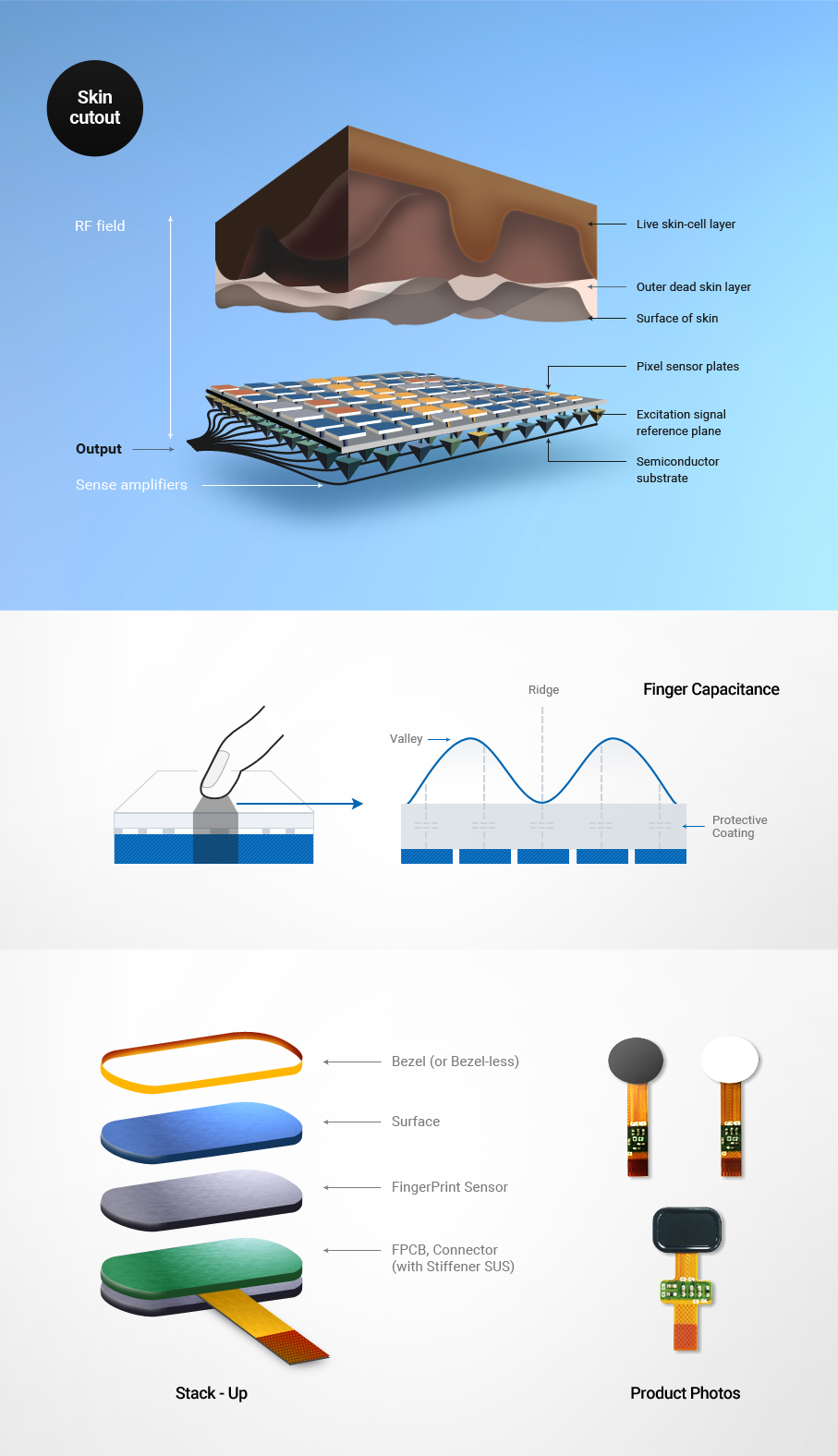 Skin cutout, Finger Capacitance, Stack - Up, Product Photos