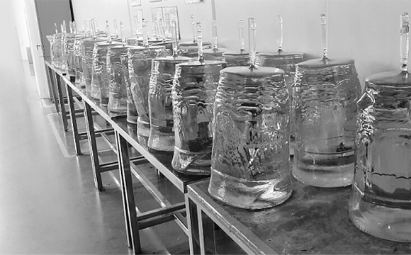 사파이어 단결정